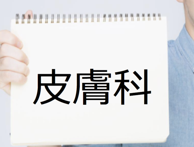 皮膚.png
